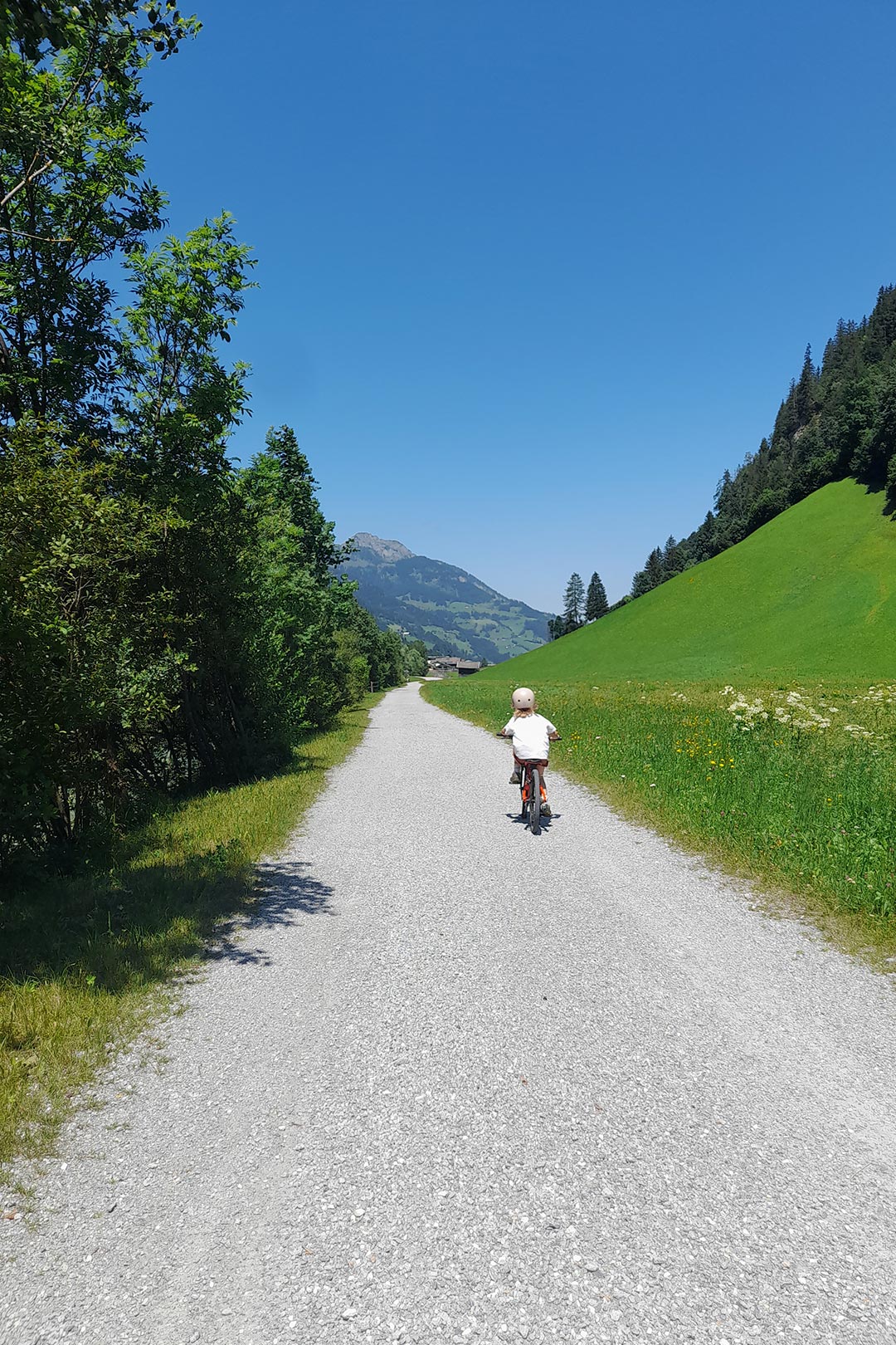 Radfahren im Großarltal – Sommeraktivitäten in der Natur