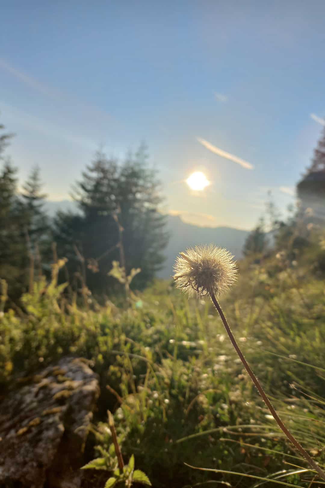 Naturerlebnis im Großarl – Wandern und Entspannen in den Alpen