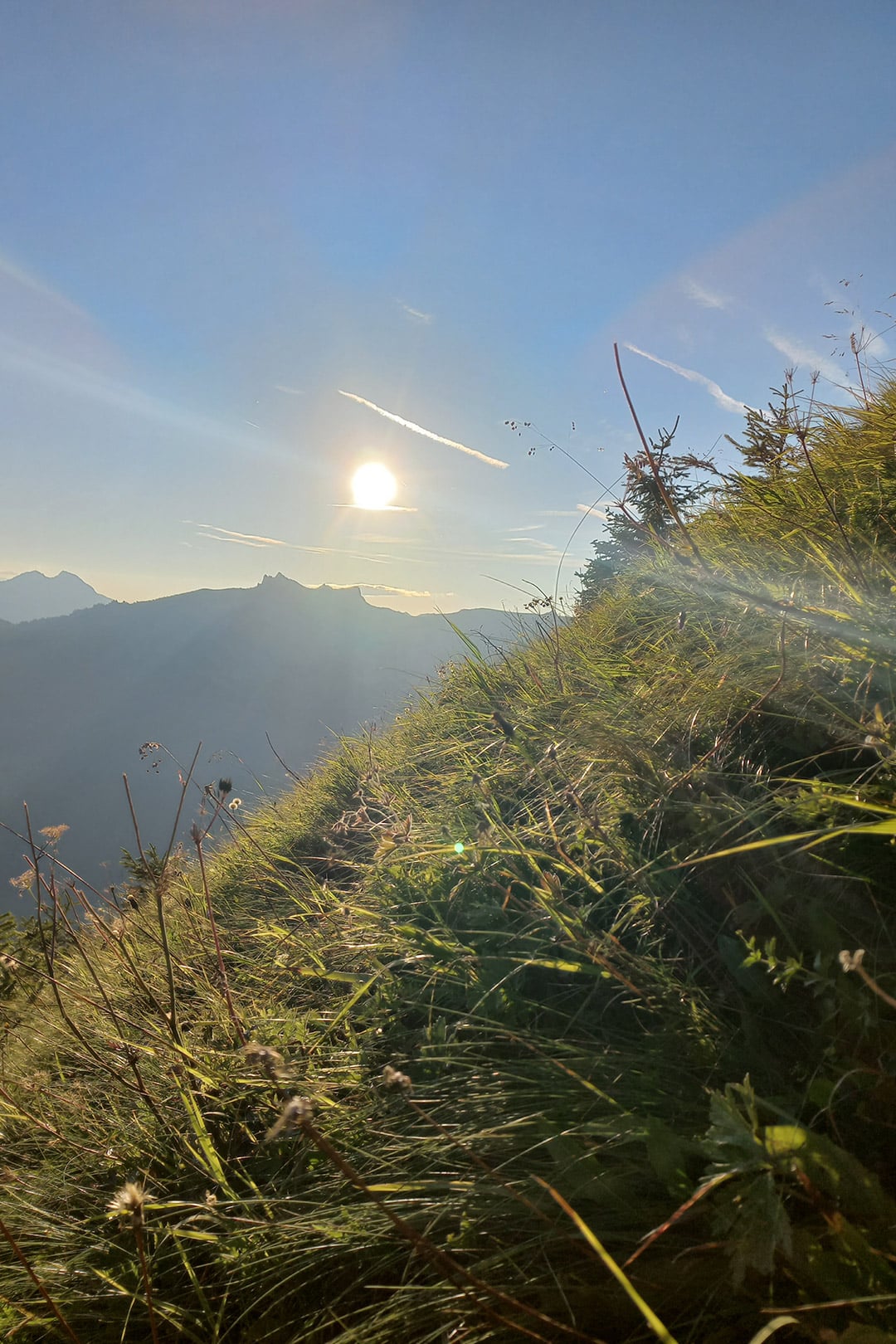 naturhof-eibl_sommer-im-grossarltal-14 Naturerlebnis im Großarl – Wandern und Entspannen in den Alpen