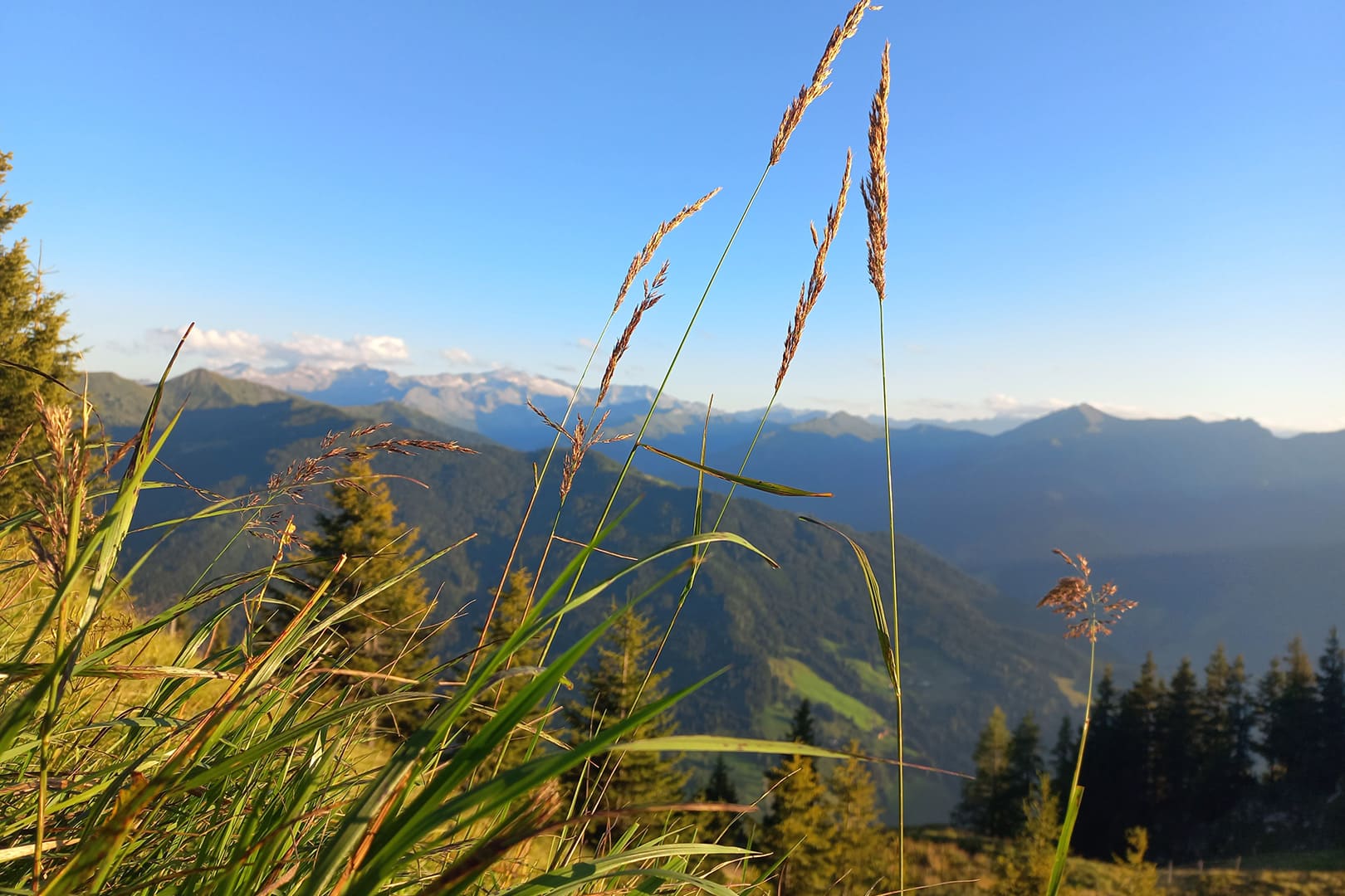 Naturerlebnis im Großarl – Wandern und Entspannen in den Alpen