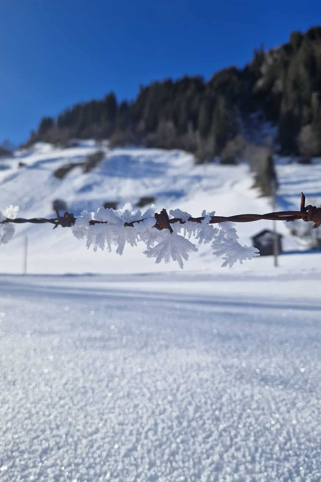 Winter im Großarl – Schneebedeckte Landschaft in den Alpen